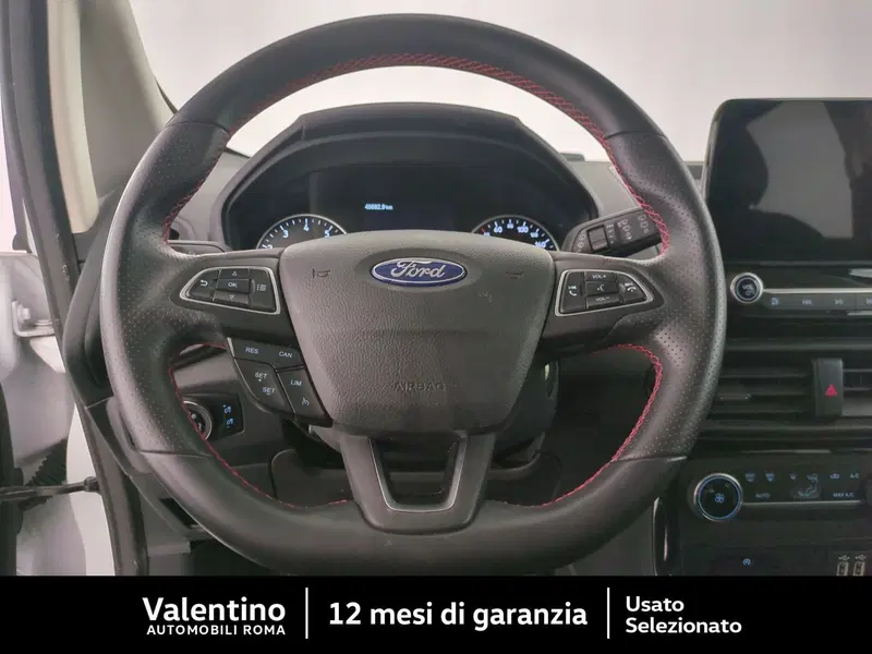 Ford EcoSport usata a Roma (14)