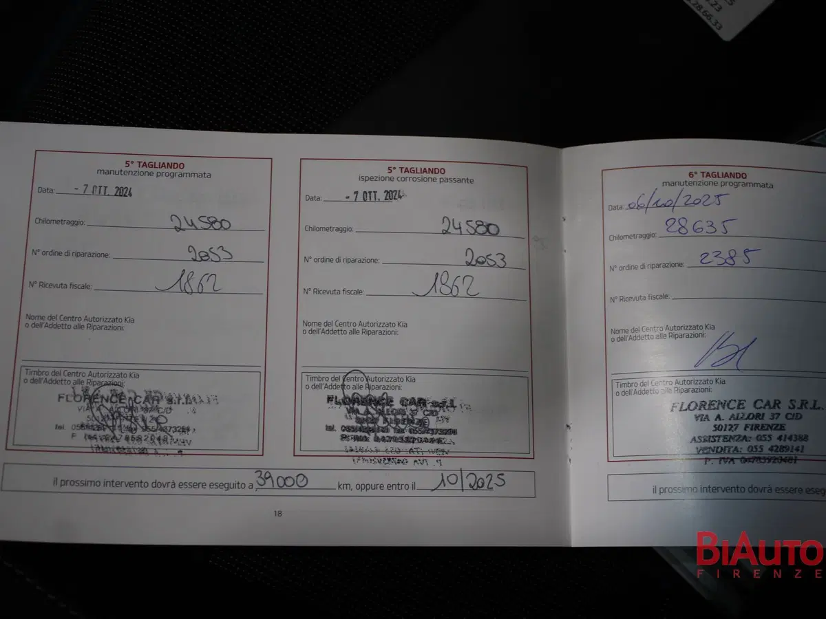 Kia Rio usata a Firenze (18)