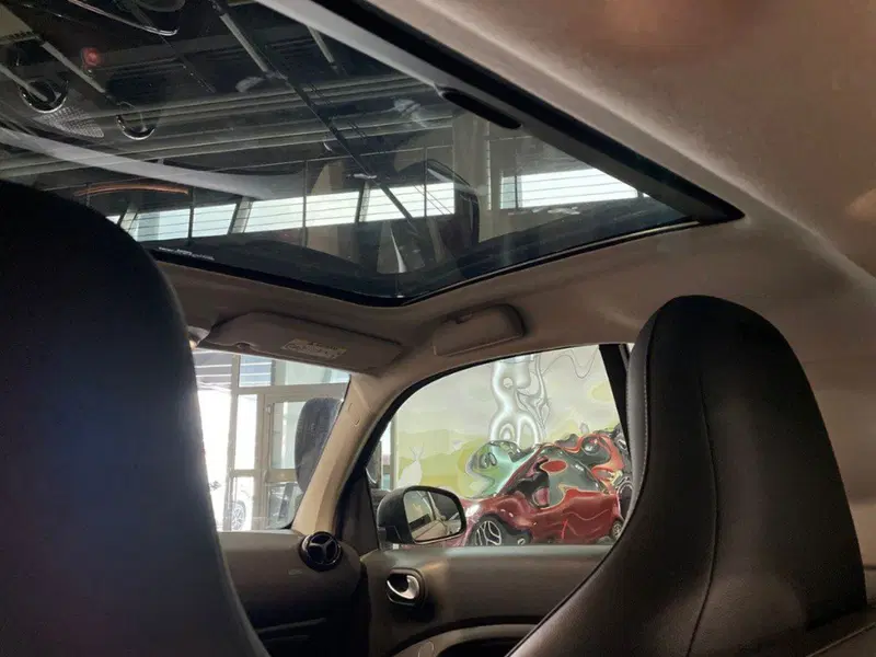 smart Fortwo usata a Ancona (18)
