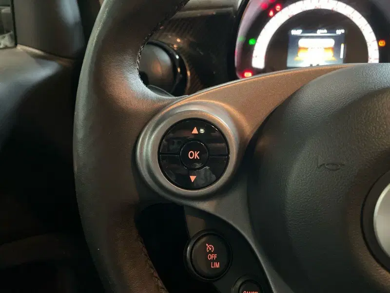 smart Fortwo usata a Ancona (20)