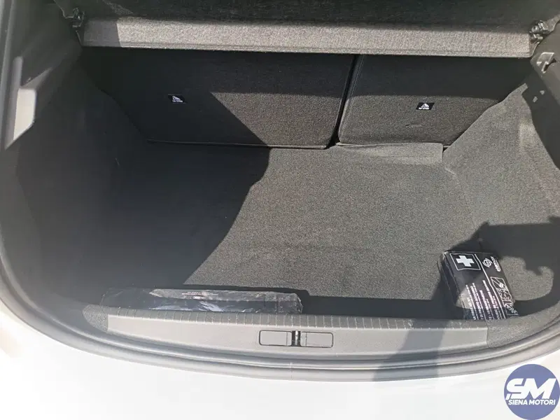 Peugeot 208 usata a Siena (20)