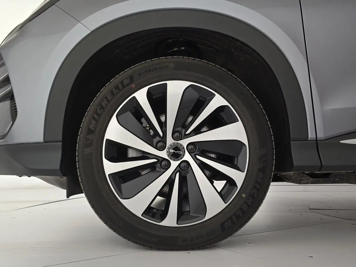 Byd Seal U DM-i  usata a Cuneo (7)