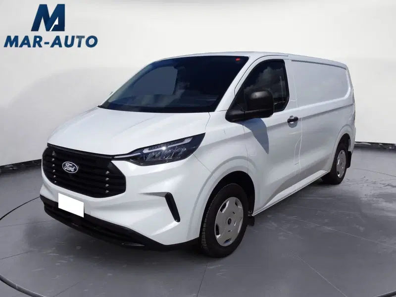 Ford Transit Custom Furgone usata a Treviso
