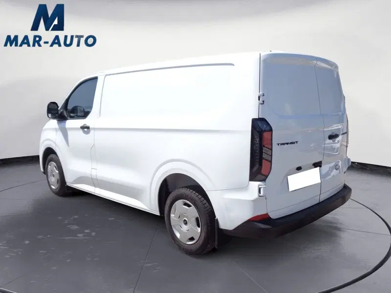 Ford Transit Custom Furgone usata a Treviso (2)