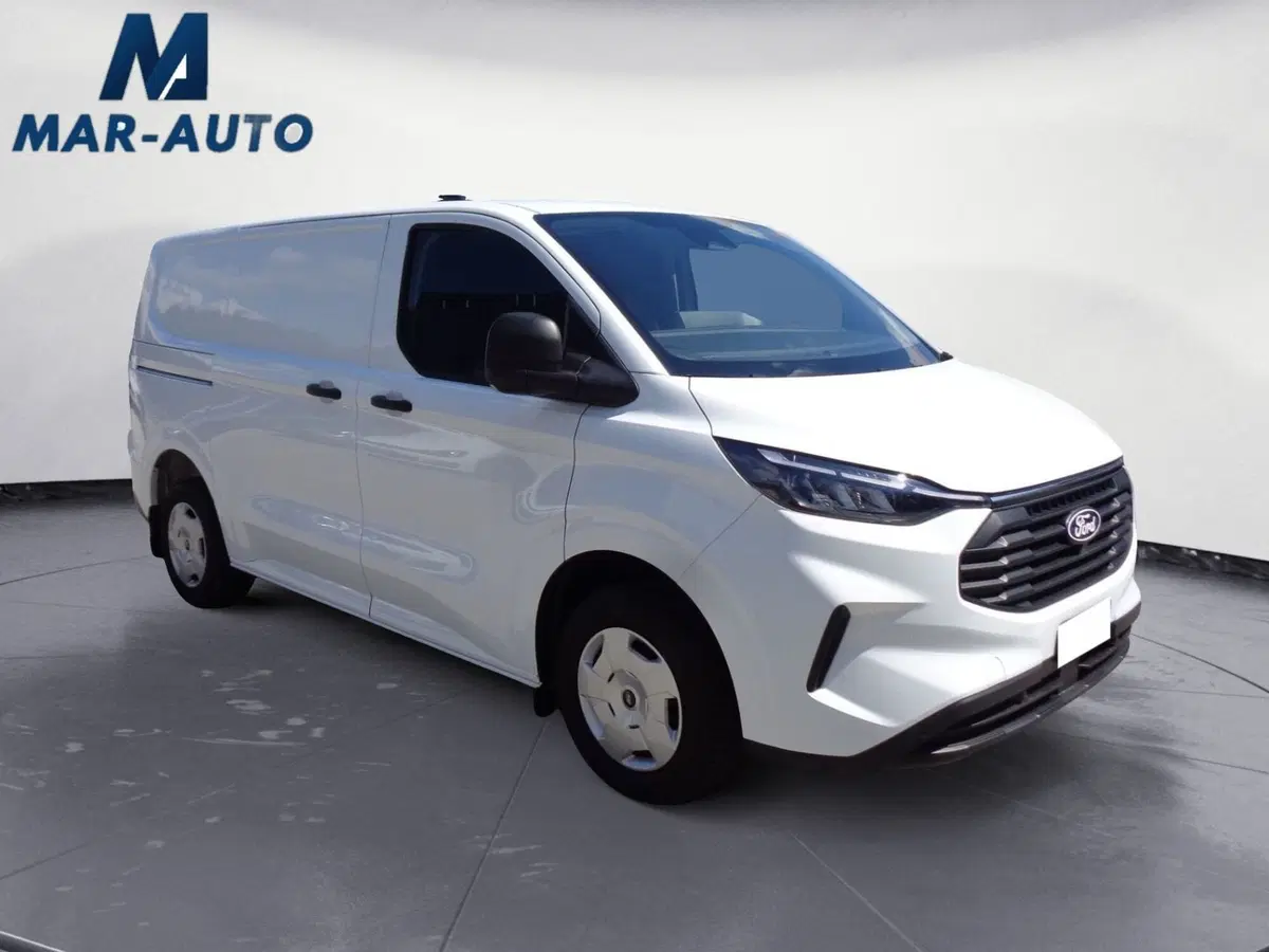 Ford Transit Custom Furgone usata a Treviso (4)