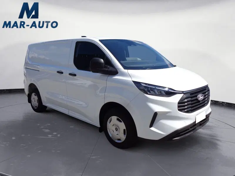 Ford Transit Custom Furgone usata a Treviso (4)