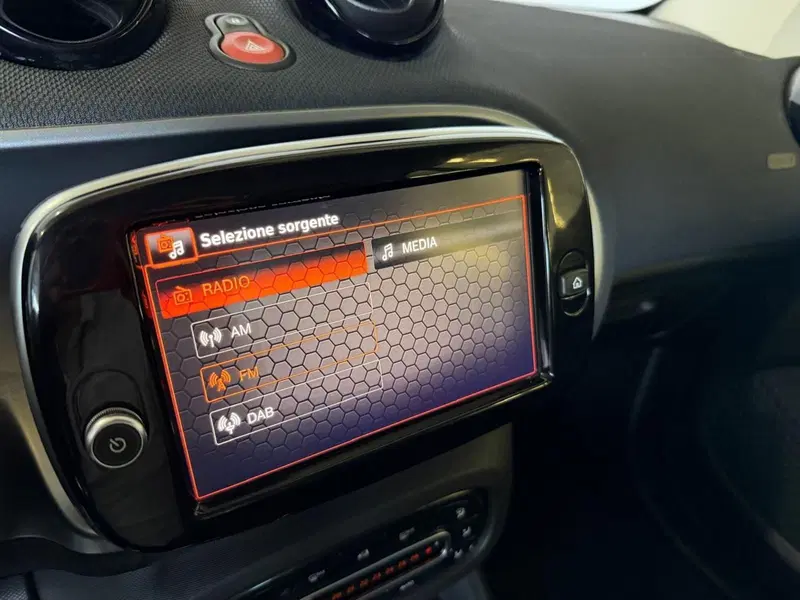 smart Fortwo usata a Monza e Brianza (19)