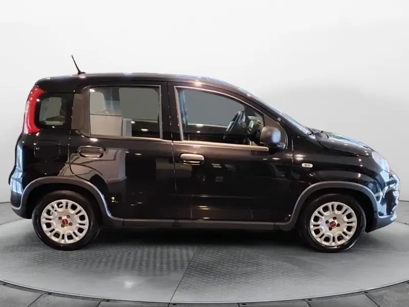 Fiat Panda usata a Salerno (2)