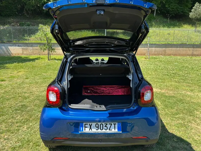 smart forfour usata a Salerno (12)