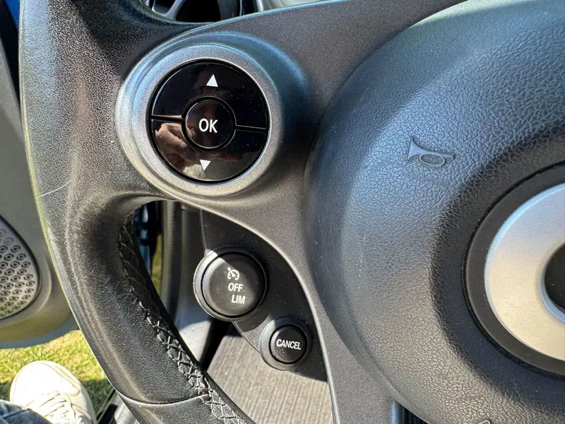 smart forfour usata a Salerno (18)