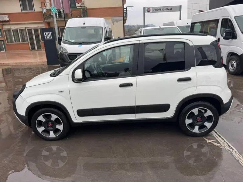 Fiat Panda Cross usata a Salerno (10)
