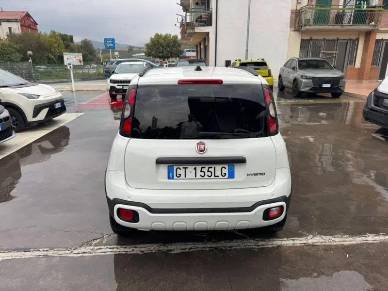 Fiat Panda Cross usata a Salerno (11)