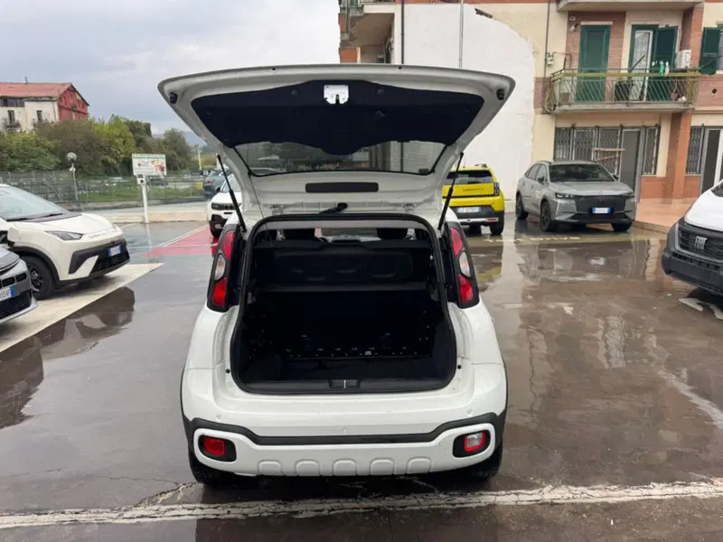 Fiat Panda Cross usata a Salerno (12)