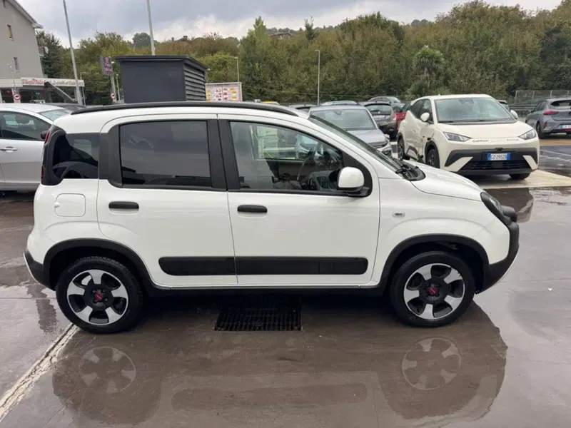 Fiat Panda Cross usata a Salerno (15)
