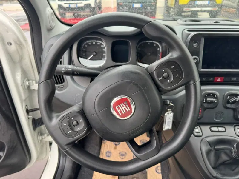 Fiat Panda Cross usata a Salerno (17)