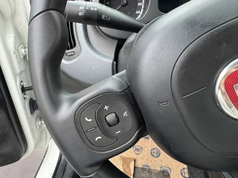 Fiat Panda Cross usata a Salerno (18)