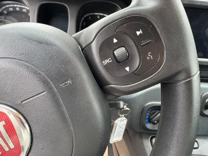 Fiat Panda Cross usata a Salerno (19)