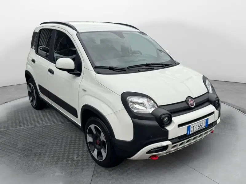 Fiat Panda Cross usata a Salerno (2)