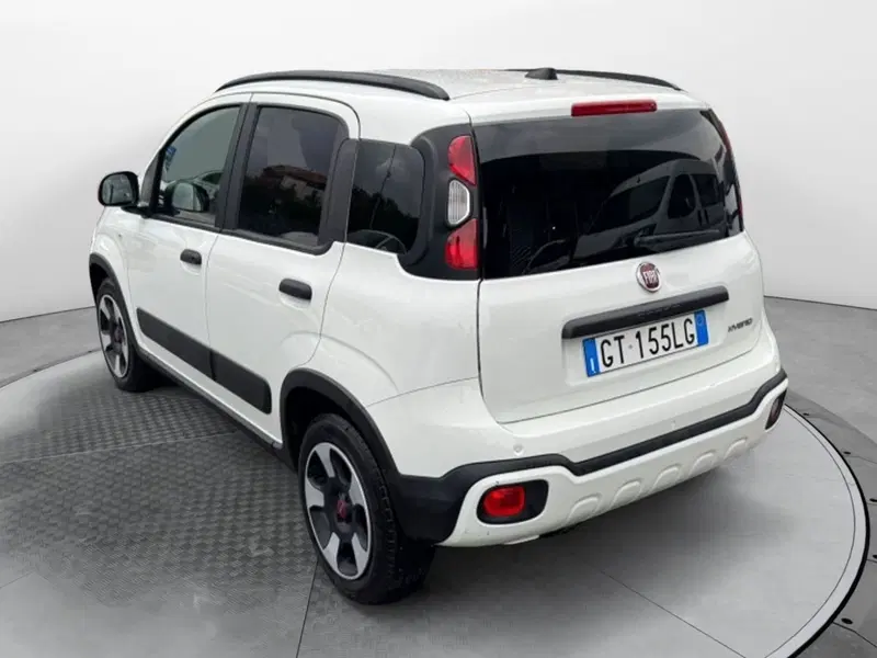Fiat Panda Cross usata a Salerno (3)