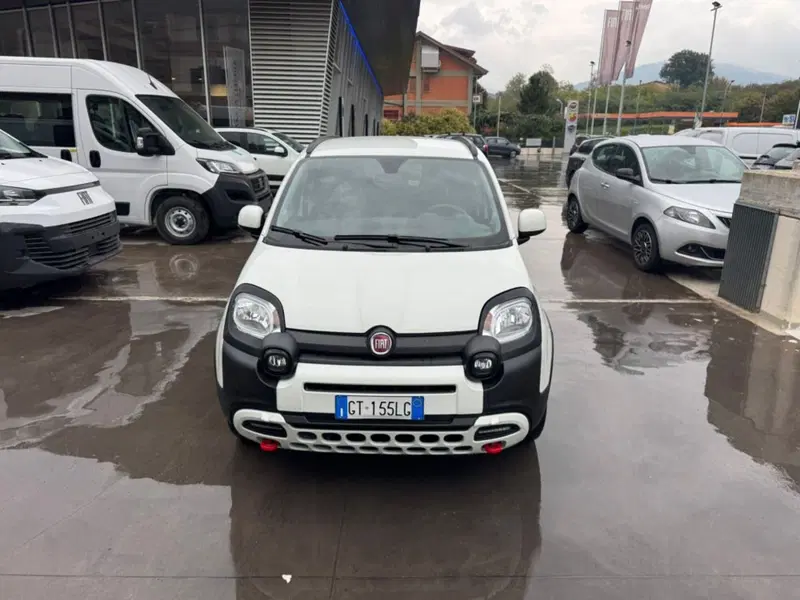 Fiat Panda Cross usata a Salerno (9)