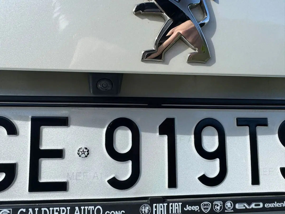 Peugeot 2008 usata a Salerno (13)