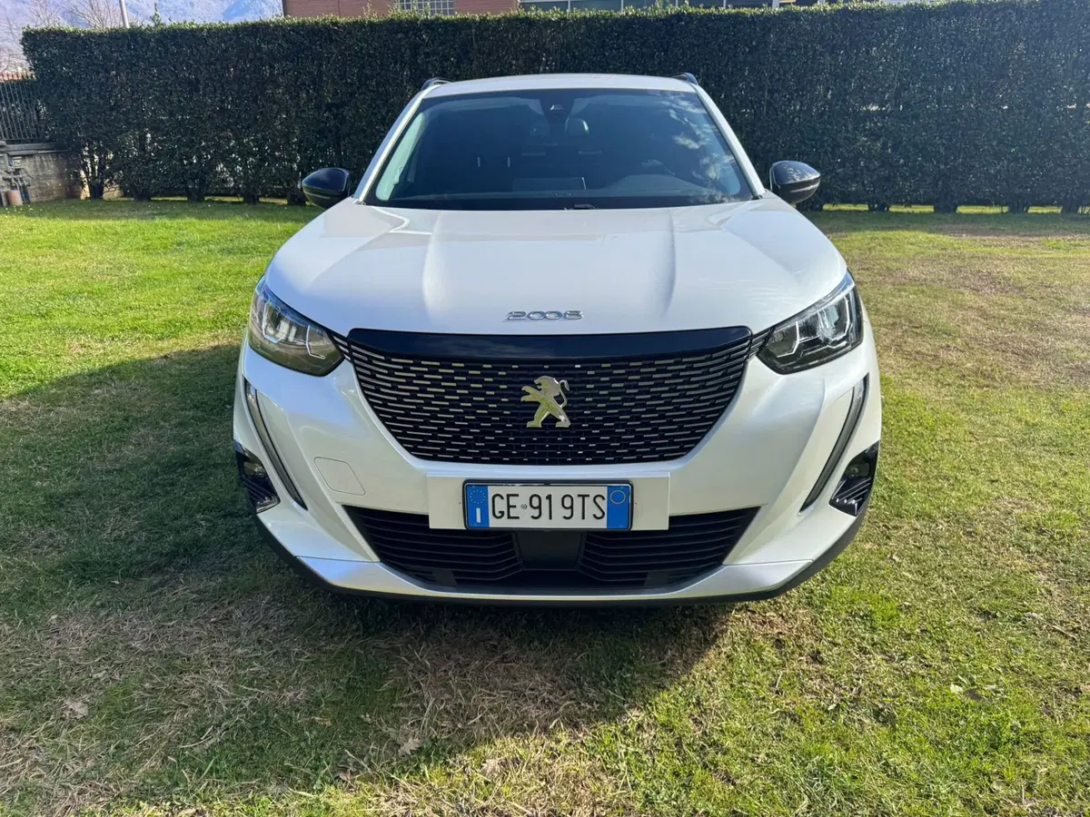 Peugeot 2008 usata a Salerno (9)