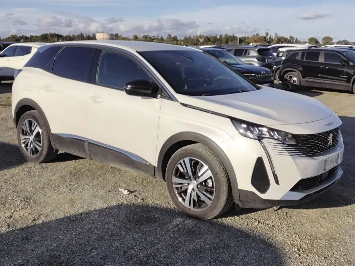 Peugeot 3008 usata a Salerno (2)