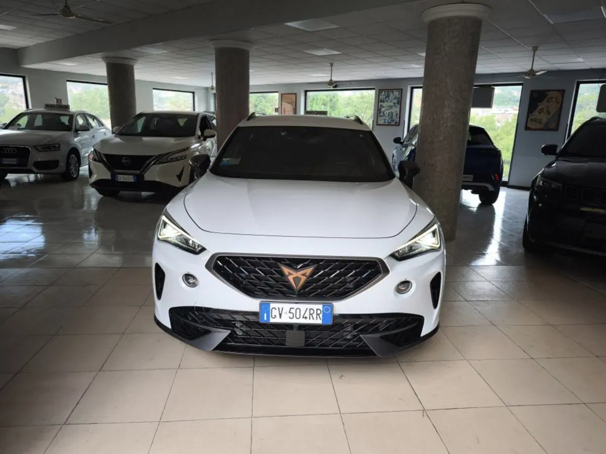 Cupra Formentor usata a Salerno (9)