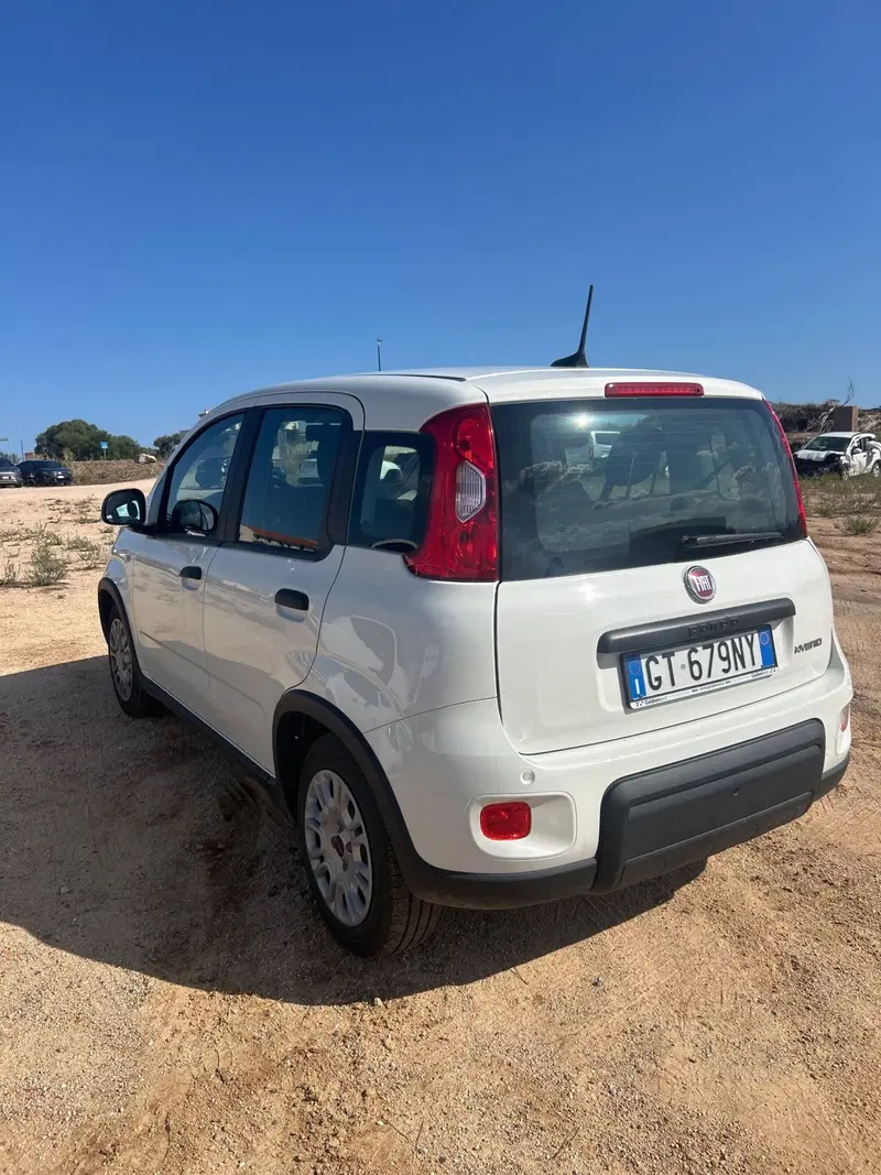 Fiat Panda Cross usata a Salerno (10)
