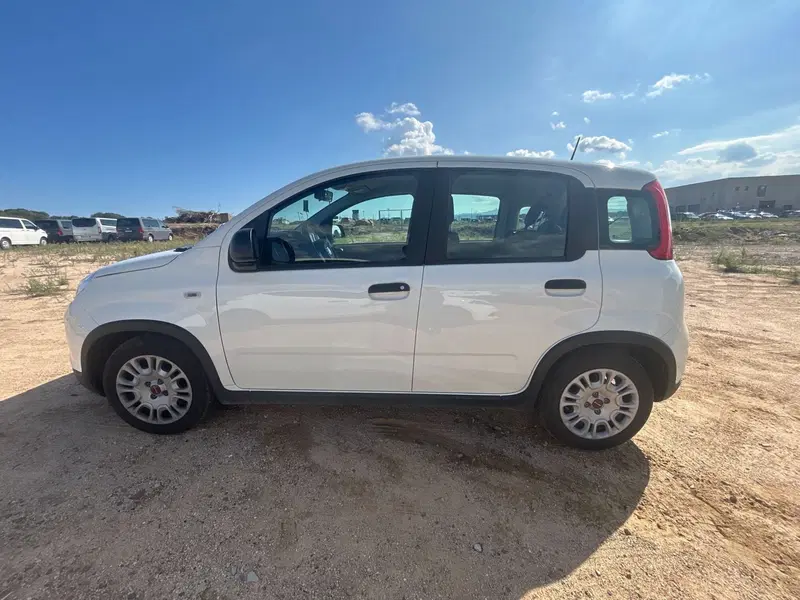 Fiat Panda Cross usata a Salerno (12)