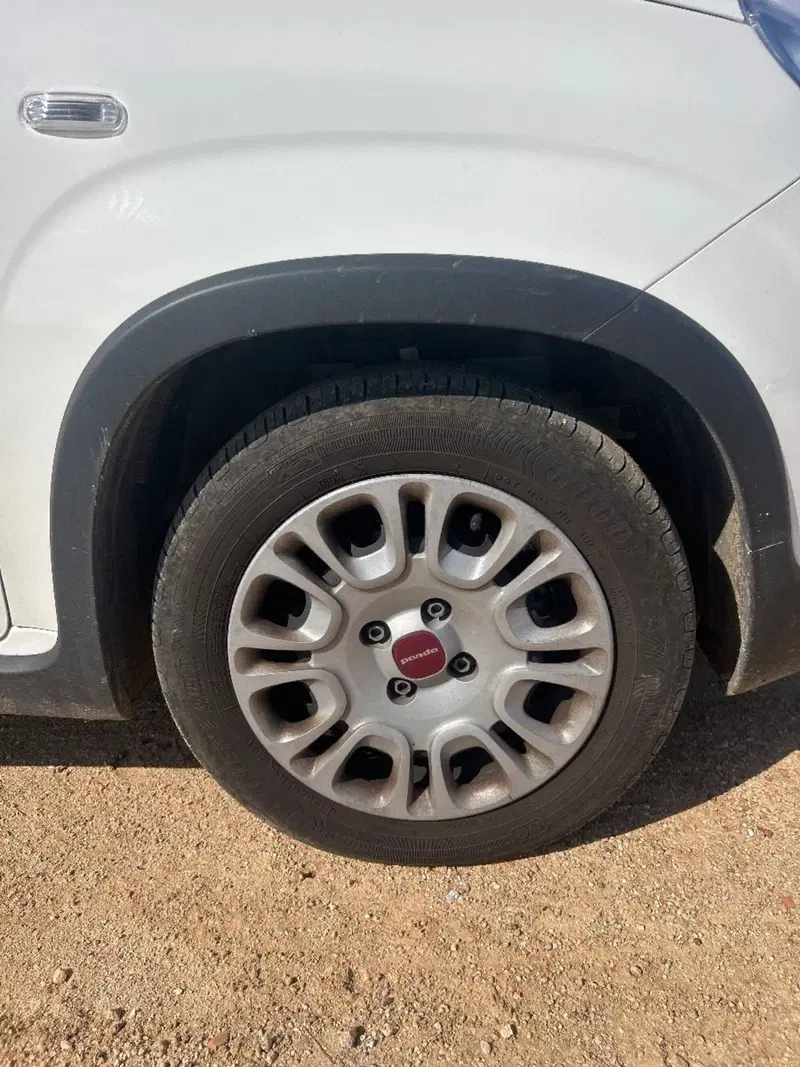 Fiat Panda Cross usata a Salerno (13)