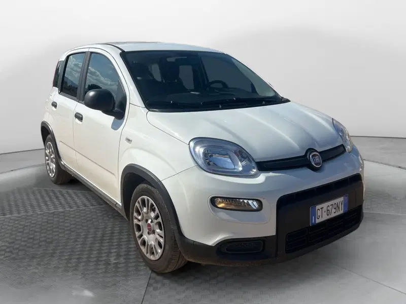 Fiat Panda Cross usata a Salerno (2)