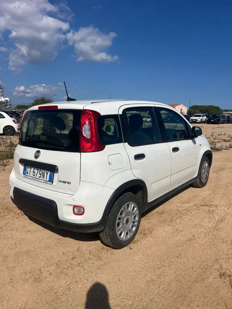 Fiat Panda Cross usata a Salerno (9)