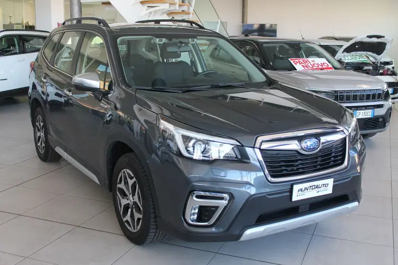 Subaru Forester usata a Cuneo (3)
