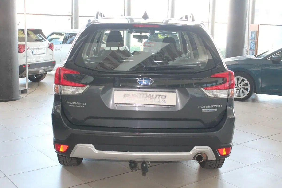 Subaru Forester usata a Cuneo (6)