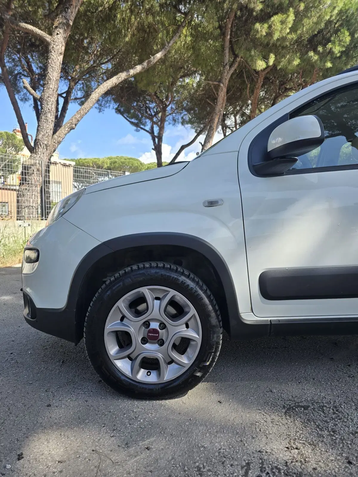Fiat Panda usata a Massa-Carrara (19)