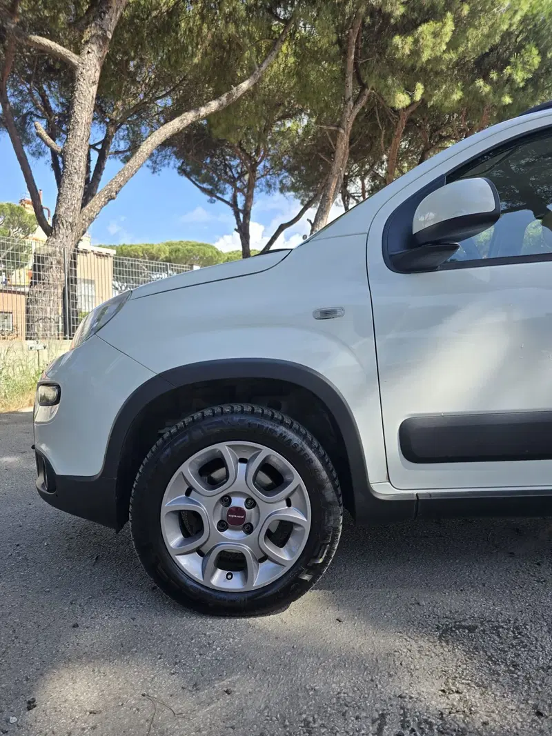 Fiat Panda usata a Massa-Carrara (19)