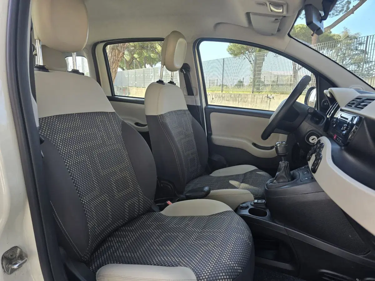 Fiat Panda usata a Massa-Carrara (5)