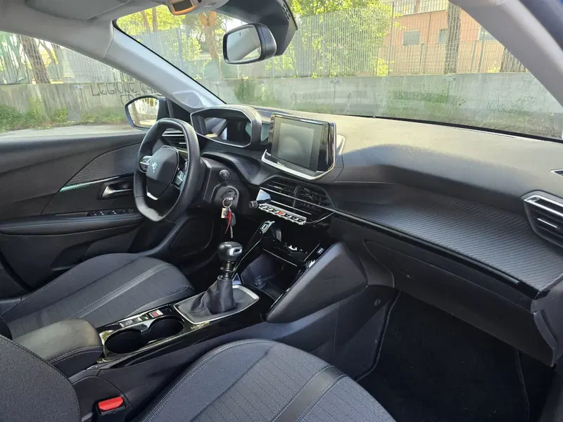 Peugeot 208 usata a Massa-Carrara (20)