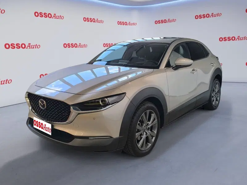 Mazda CX-30 usata a Udine