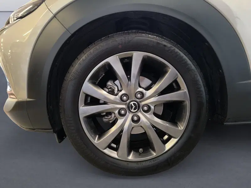 Mazda CX-30 usata a Udine (7)