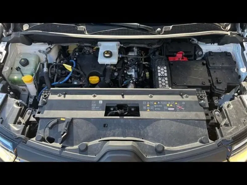 Renault Kangoo usata a Firenze (14)
