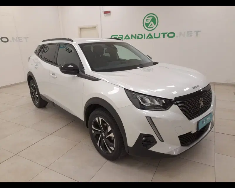 Peugeot 2008 usata a Alessandria (6)