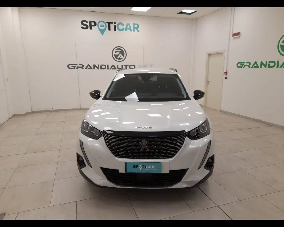 Peugeot 2008 usata a Alessandria (7)