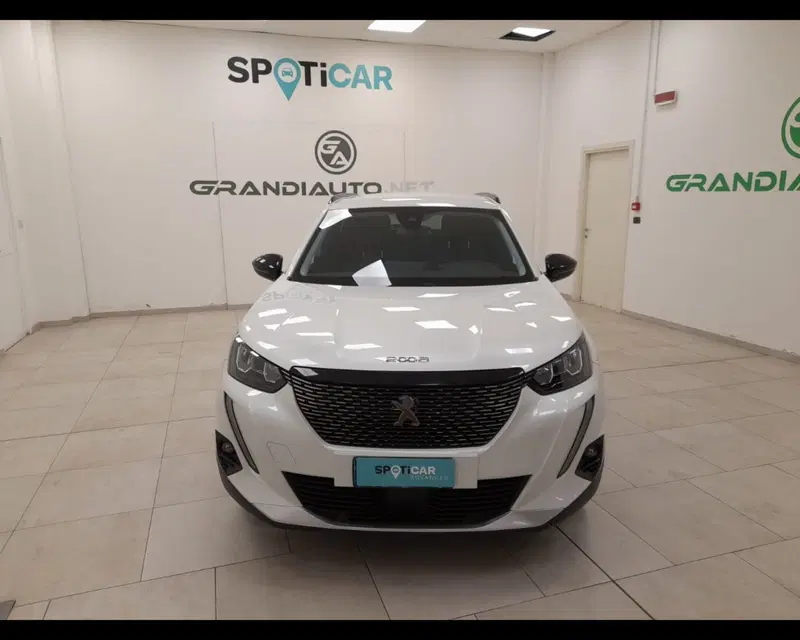 Peugeot 2008 usata a Alessandria (7)