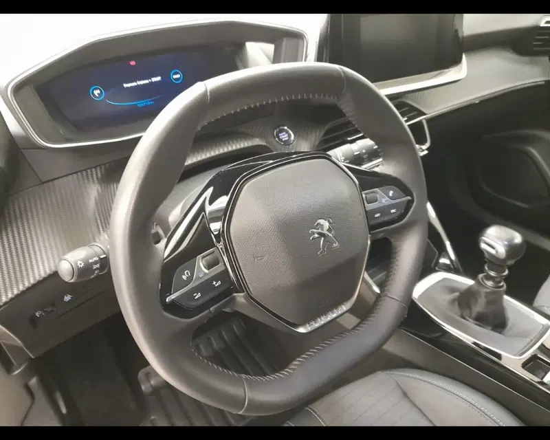 Peugeot 2008 usata a Alessandria (8)