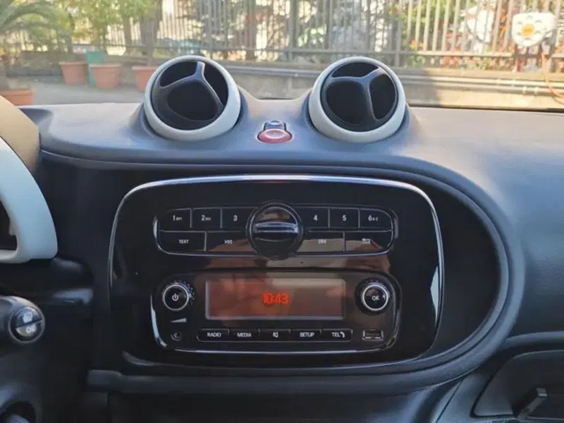 smart forfour usata a Salerno (16)