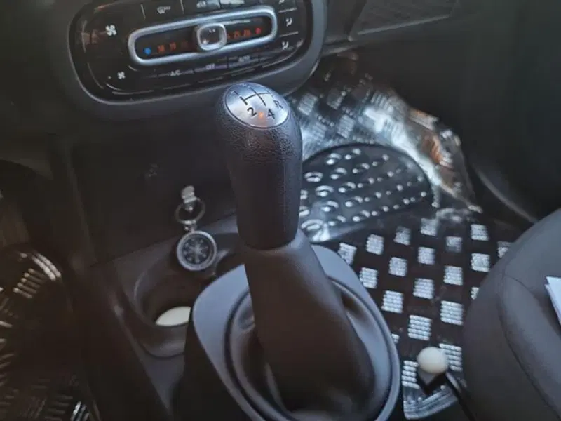 smart forfour usata a Salerno (17)