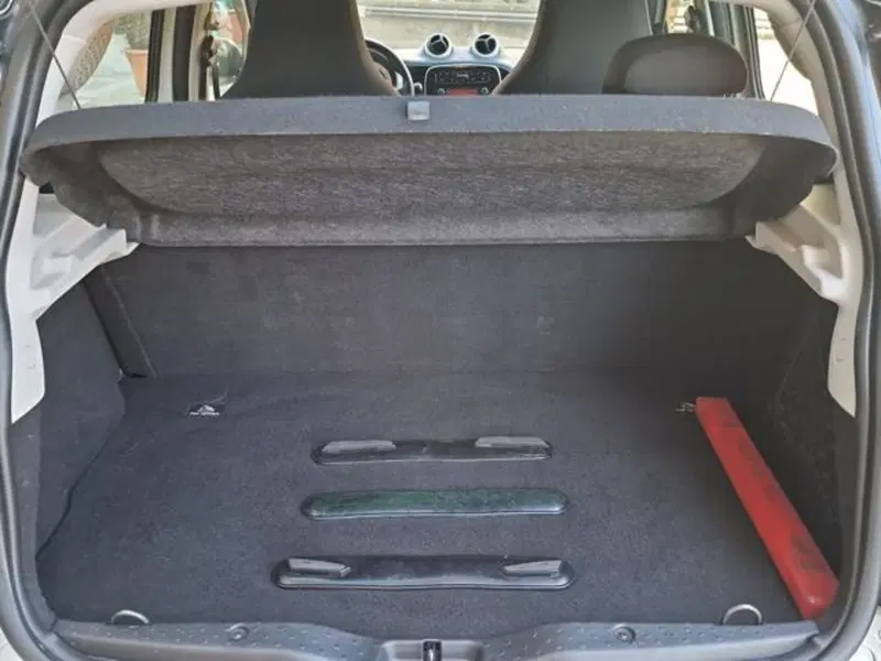 smart forfour usata a Salerno (19)