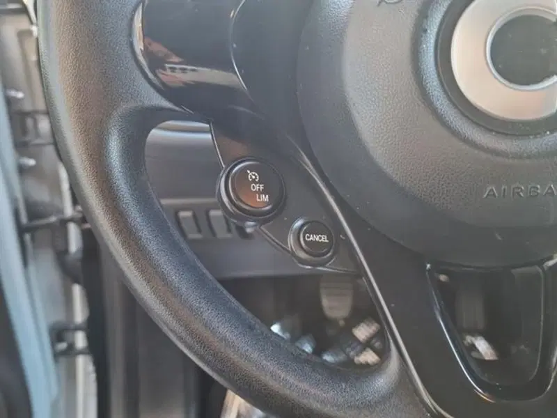 smart forfour usata a Salerno (20)